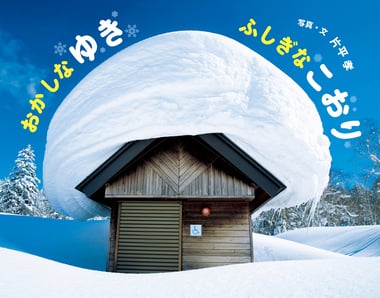 おかしなゆきふしぎなこおり_書影